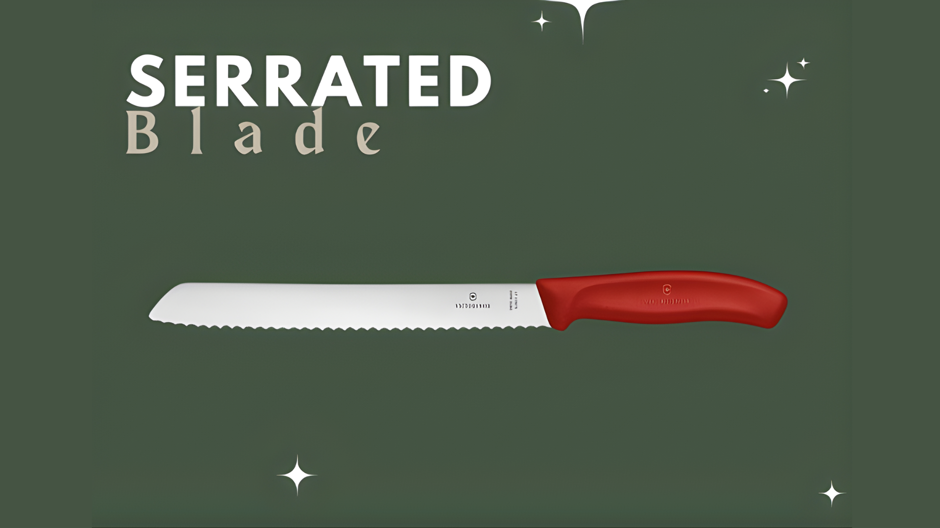Victorinox Knife Edge Types Explained: Straight, Curved, Wide, Narrow ...